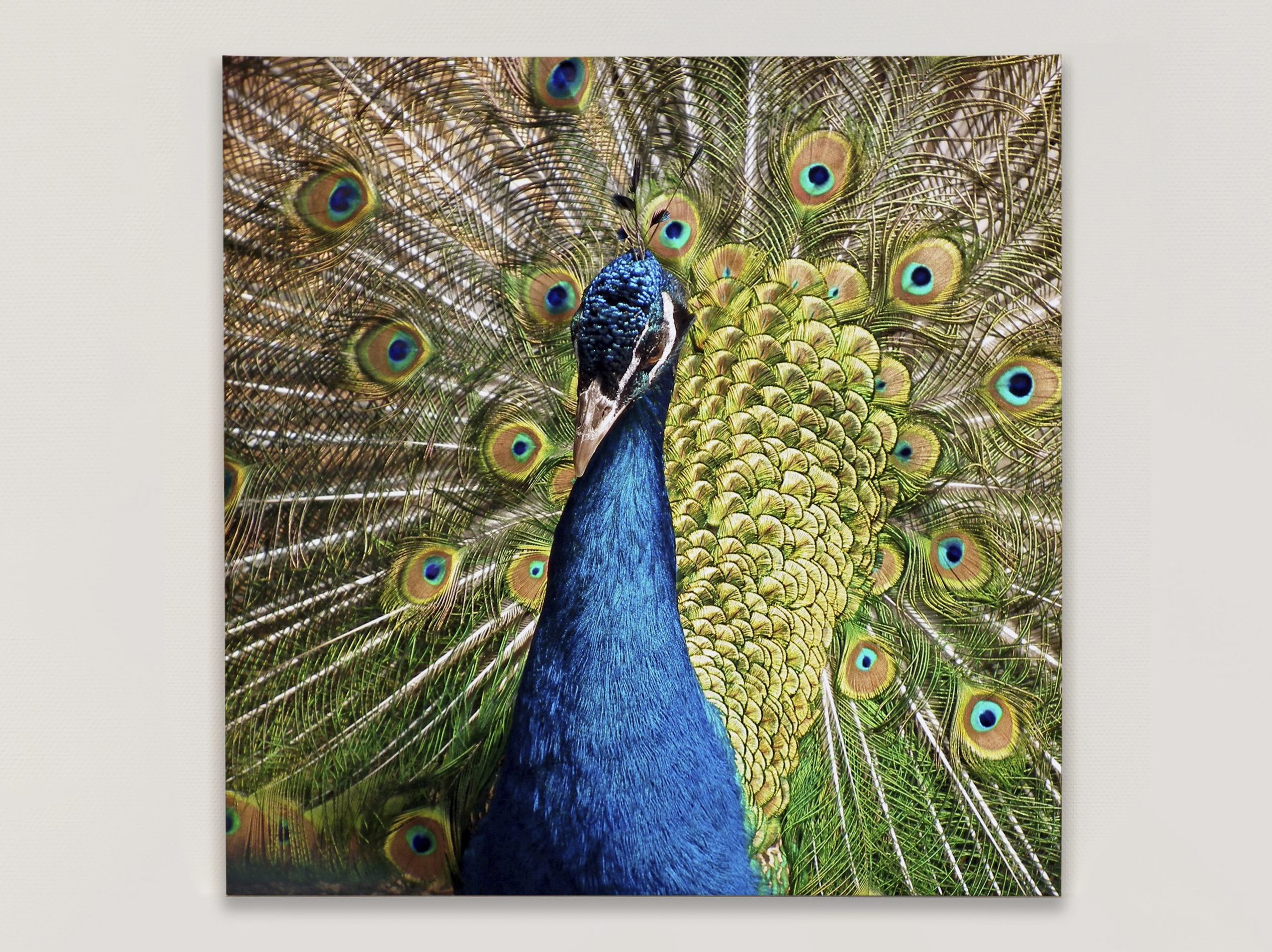 Lærred i størrelsen 100x100cm